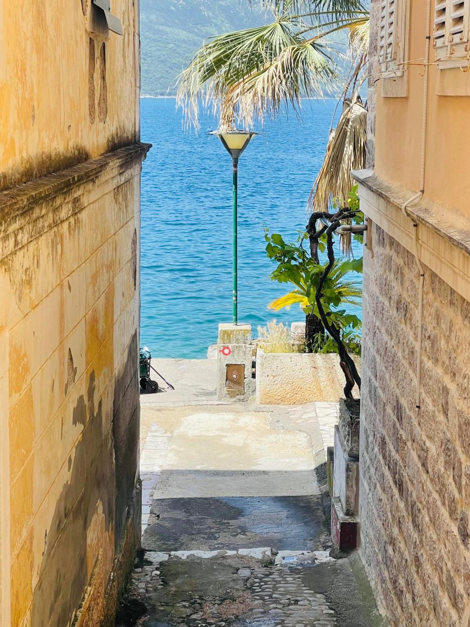 Appartamento Hearth Of Rose Herceg Novi Esterno foto